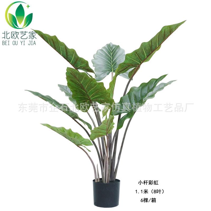 高档仿真植物小绿植彩虹芋室内外摆设仿真旅人蕉美人蕉装饰盆景杆