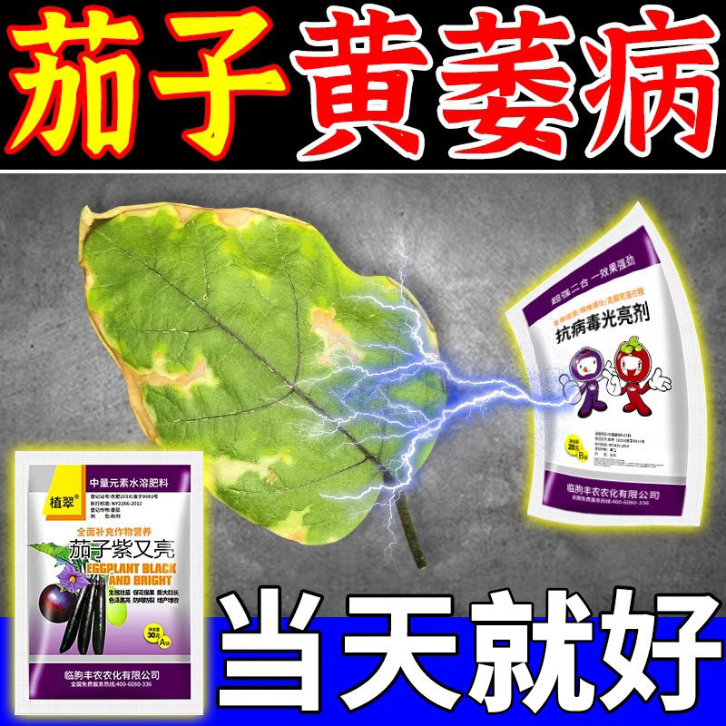茄子病专用茄子黄萎褐纹炭疽绵疫叶霜病杀菌抗病增产特效叶面肥Q,鲜花速递/花卉仿真/绿植园艺,家庭园艺肥料,淘宝优惠券,粉丝福利购,淘宝优惠卷