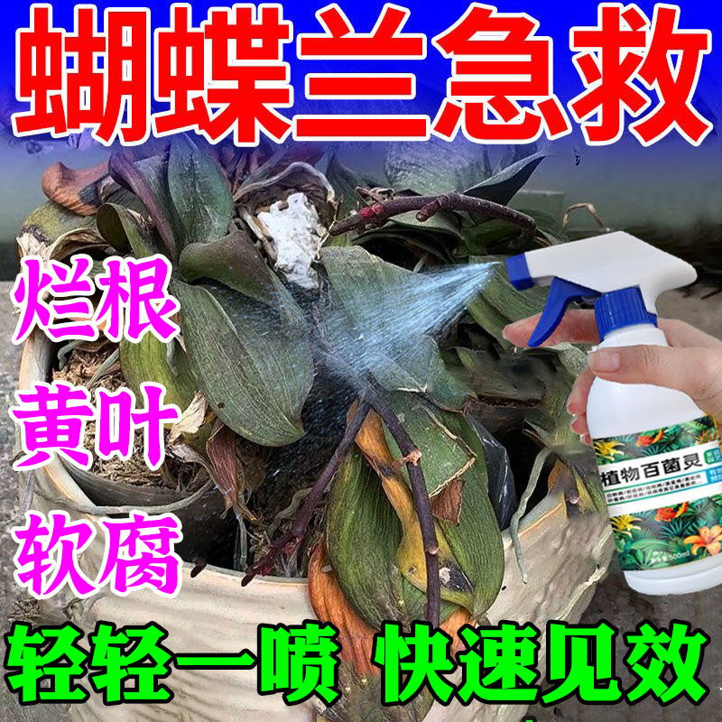 蝴蝶兰杀菌剂软腐黄叶炭疽叶斑灰霉病兰花烂根专用生根水壮苗剂S,鲜花速递/花卉仿真/绿植园艺,家庭园艺肥料,淘宝优惠券,粉丝福利购,淘宝优惠卷