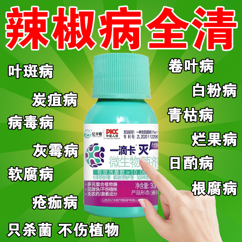 辣椒病毒病专用肥管辣椒卷叶黄叶缩叶白粉霉炭疽辣椒病疫病清全清,鲜花速递/花卉仿真/绿植园艺,家庭园艺肥料,淘宝优惠券,粉丝福利购,淘宝优惠卷