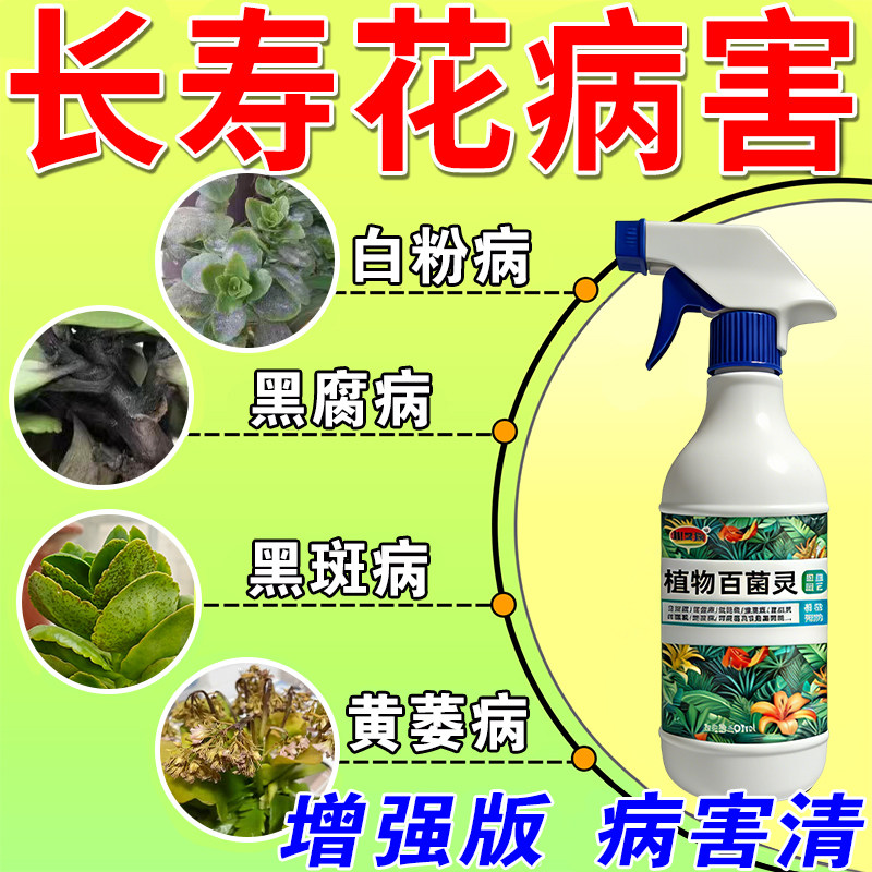 长寿花杀菌剂白粉病黑斑病黄叶斑烂根花卉植物病害通用肥料营养液,鲜花速递/花卉仿真/绿植园艺,家庭园艺肥料,淘宝优惠券,粉丝福利购,淘宝优惠卷