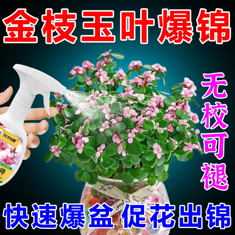 金枝玉叶专用肥多肉促变色出锦药水室盆栽植物促开花专用营养液,鲜花速递/花卉仿真/绿植园艺,家庭园艺肥料,淘宝优惠券,粉丝福利购,淘宝优惠卷