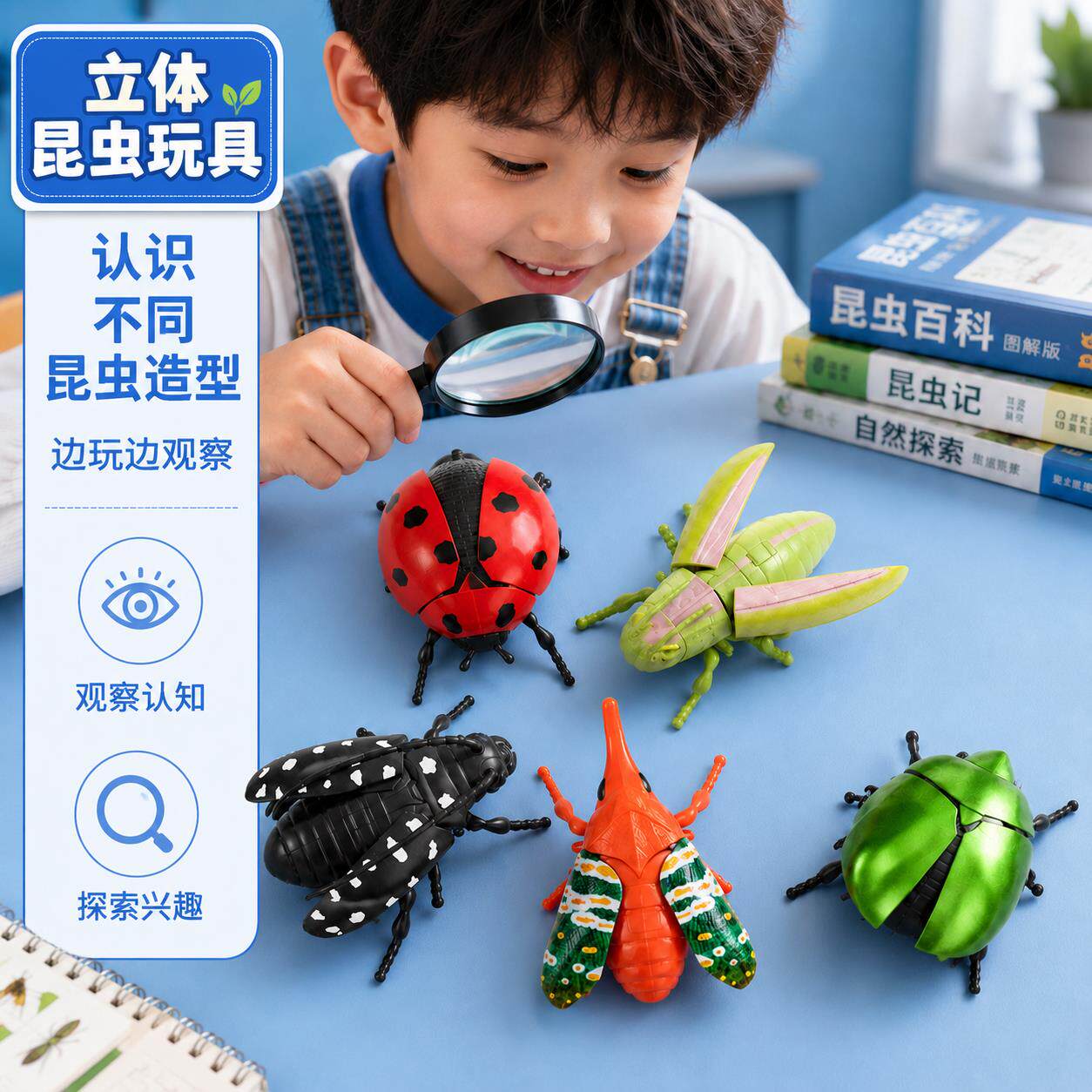 发条甲虫仿真可动玩具礼物套装