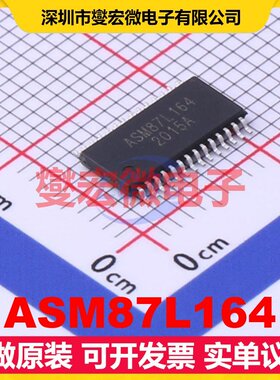 ASM87L164 TSSOP-28 MCU/MPU/SOC微处理器控制器