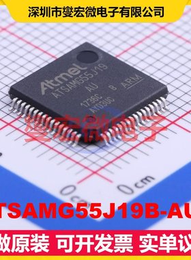 ATSAMG55J19B-AUT LQFP-64(10x10) MCU/MPU/SOC微处理器控制器