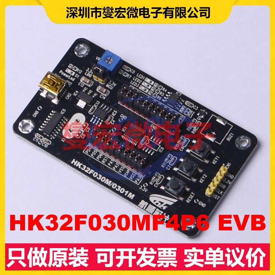 HK32F030MF4P6 EVB TSSOP-20 MCU/MPU/SOC微处理器控制器