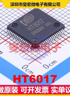 HT6017 LQFP-64(10x10) MCU/MPU/SOC微处理器控制器