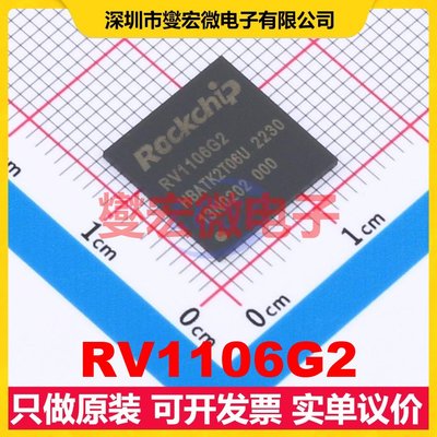 RV1106G2 QFN-128(12.3x12.3) MCU/MPU/SOC微处理器控制器