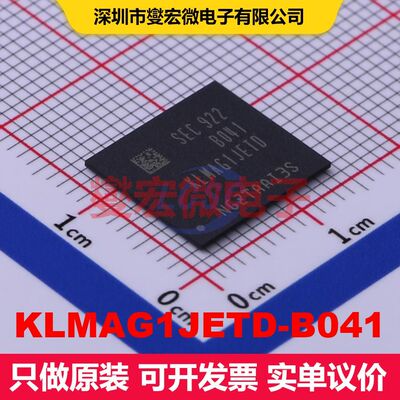 KLMAG1JETD-B041 FBGA-153 内存芯片 存储器 集成芯片IC