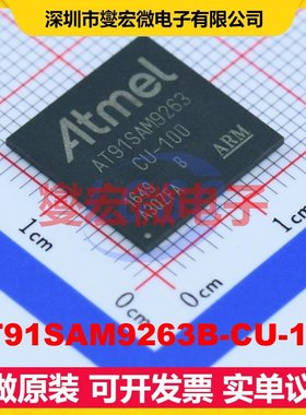 AT91SAM9263B-CU-100 BGA-324 MCU/MPU/SOC微处理器控制器