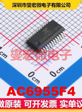 AC6955F4 QSOP-24 DSP/DSC数字信号处理器
