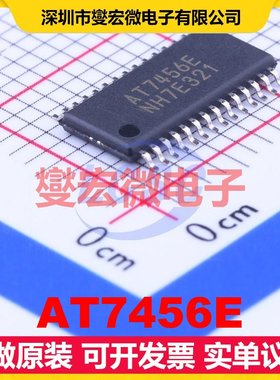 AT7456E TSSOP-28-EP MCU/MPU/SOC微处理器控制器