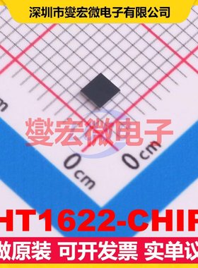HT1622-CHIP - MCU/MPU/SOC微处理器控制器