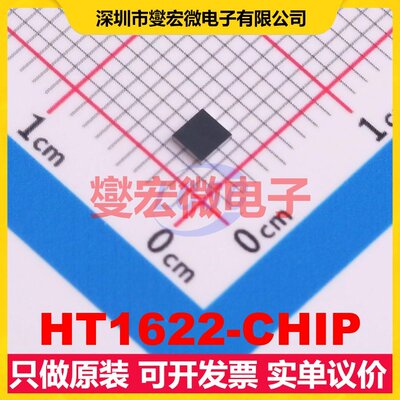 HT1622-CHIP MCU/MPU/SOC微处理器控制器