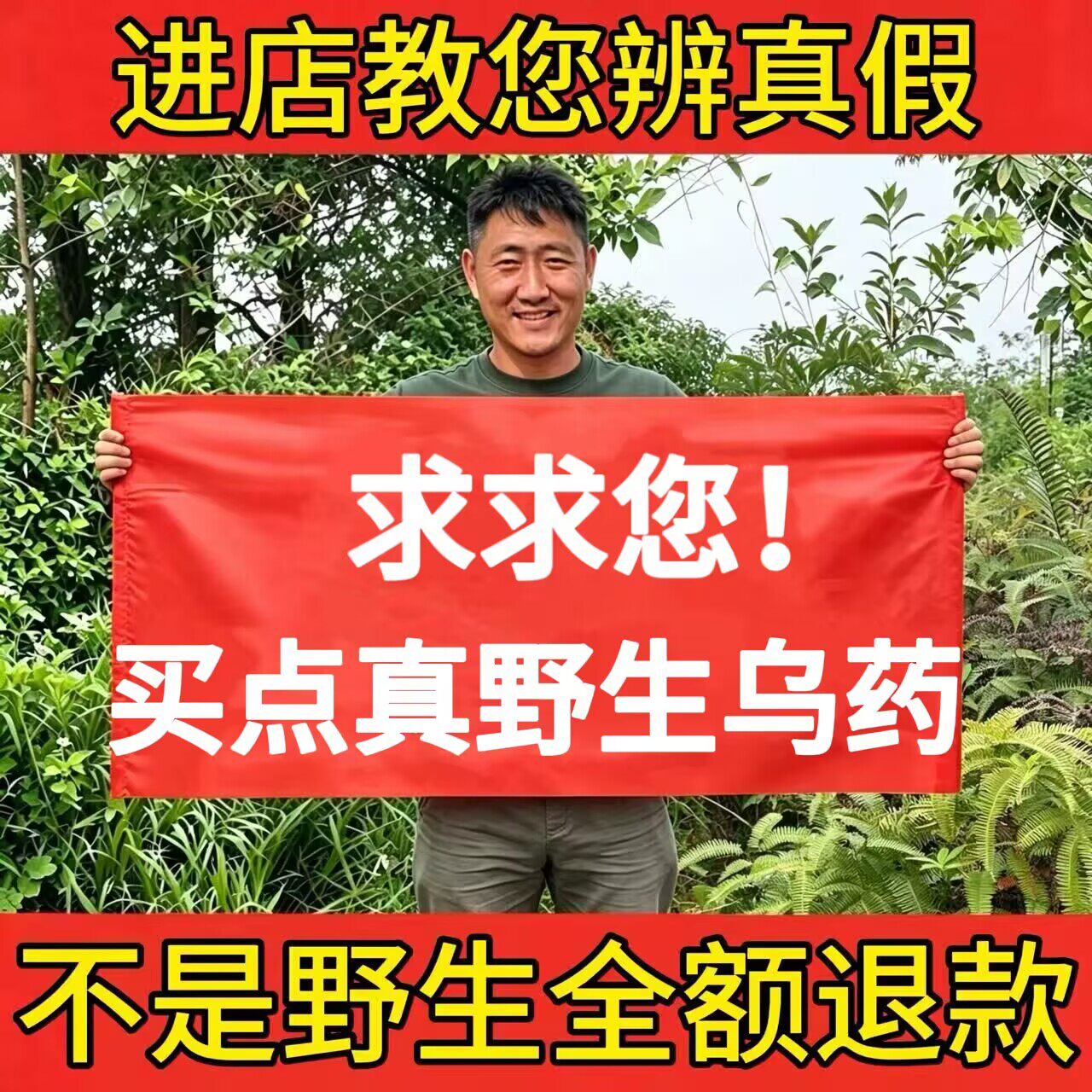 野生乌药正品中药材500g特级矮樟天台乌药根切片无硫新货泡水煲汤