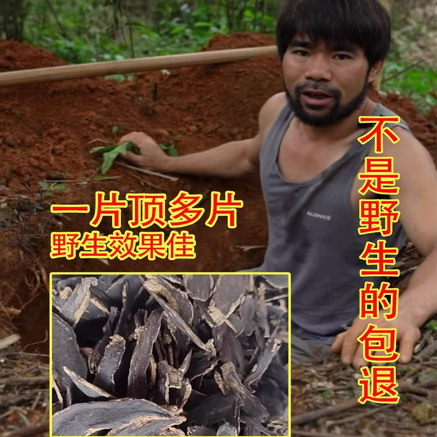 爷爷挖的深山纯野生玄参500g中药材麦冬茶片饮正品生地桔梗元参片