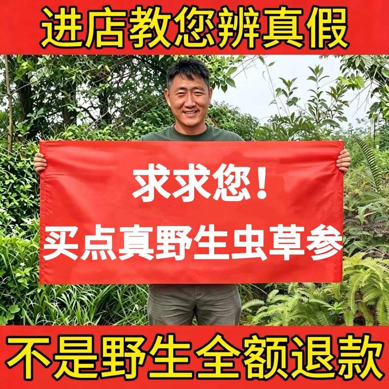 云南野生虫草参500g中药材正品竹节参地参顶天柱干货大条煲汤泡酒