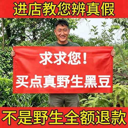 野生黑豆正品颗粒饱满绿心芯煲汤