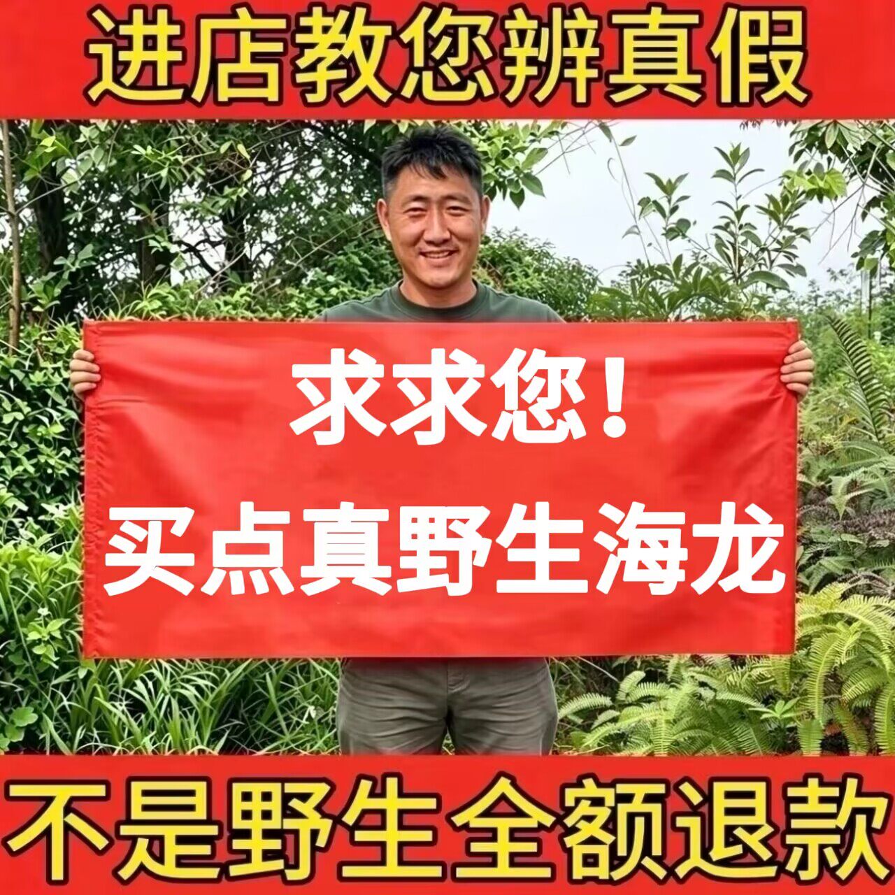 野生六角海龙中药材大海龙鱼干大刁龙干货形体完整滋补煲汤泡酒料