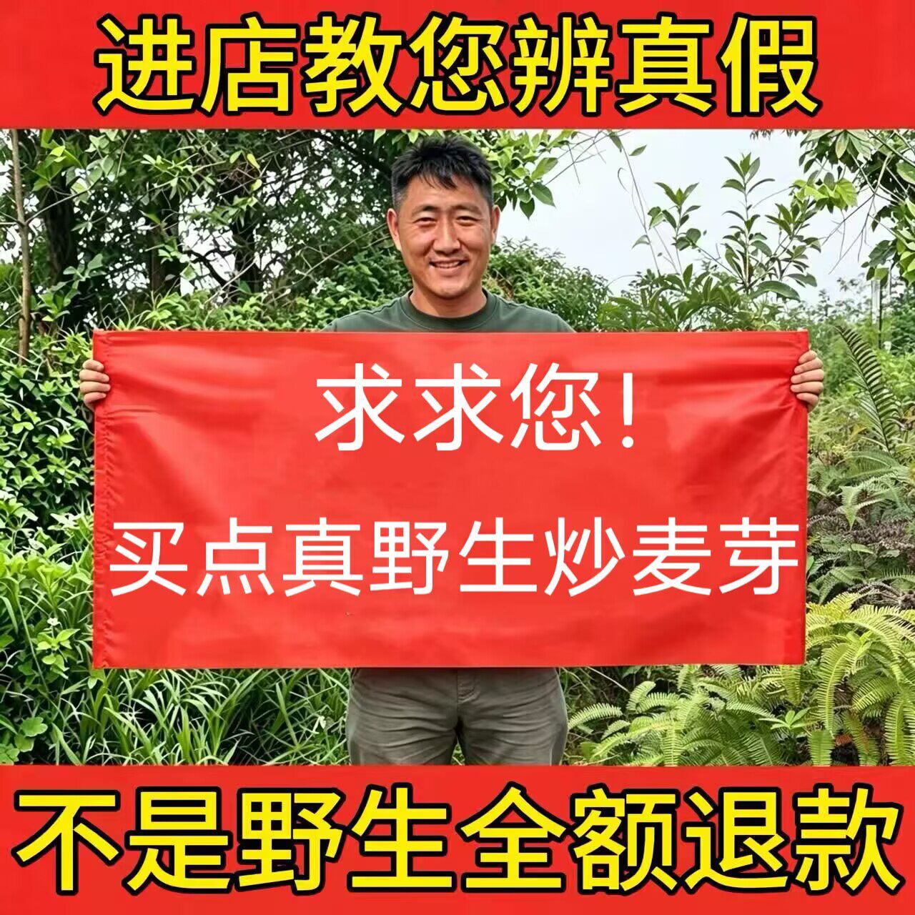 深山野生炒麦芽500g中药材正品大麦芽新货回奶断奶降低泌乳素泡水
