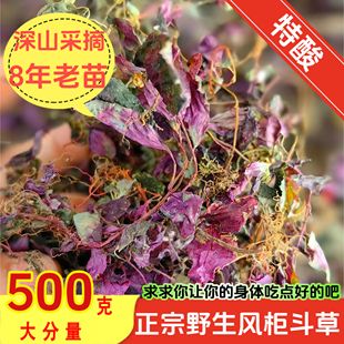风柜斗草野生中药材正品旗舰店福建风鼓草干货风谷草楮头红风骨草
