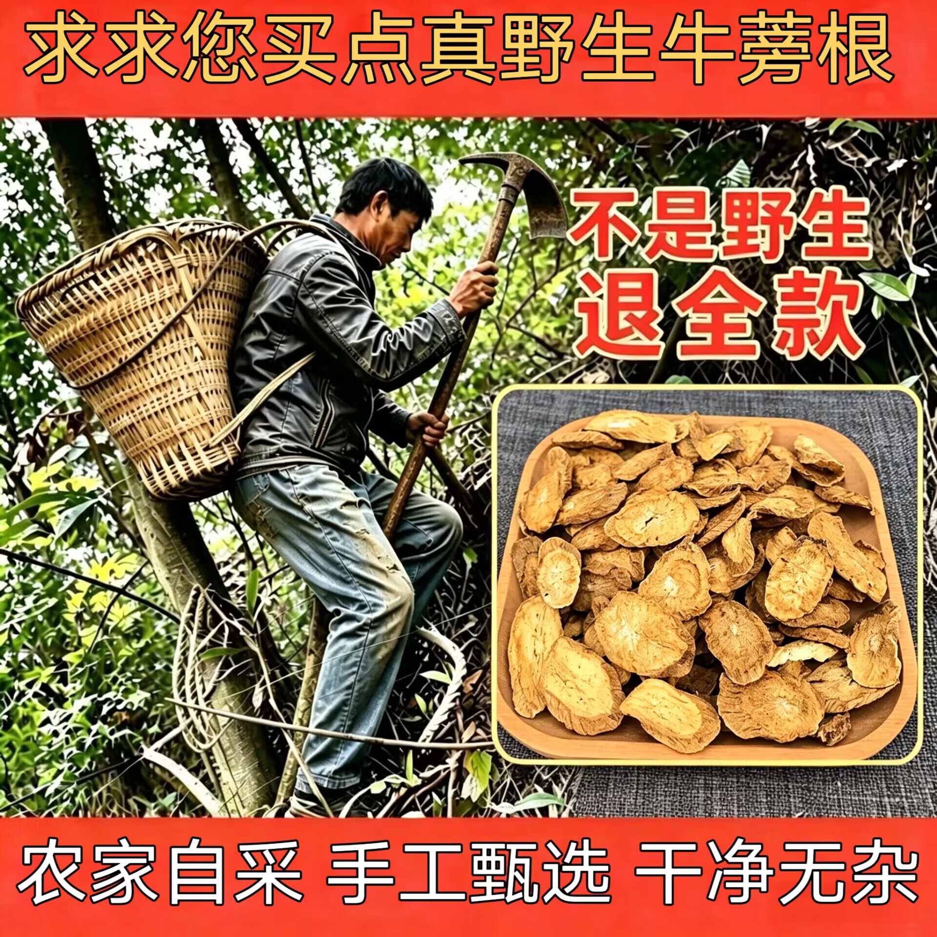 深山野生牛蒡根500g正品新鲜无硫熏牛蒡茶黄金茶牛蒡根片去火养肝