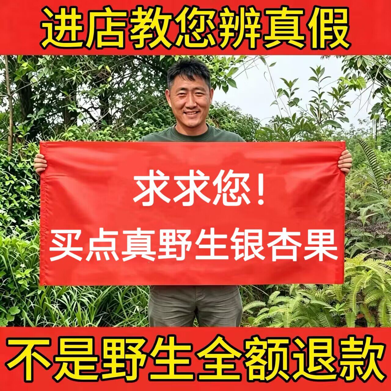 深山纯野生银杏果500g中药材正品白果新鲜大果干货白果仁煲汤煮粥