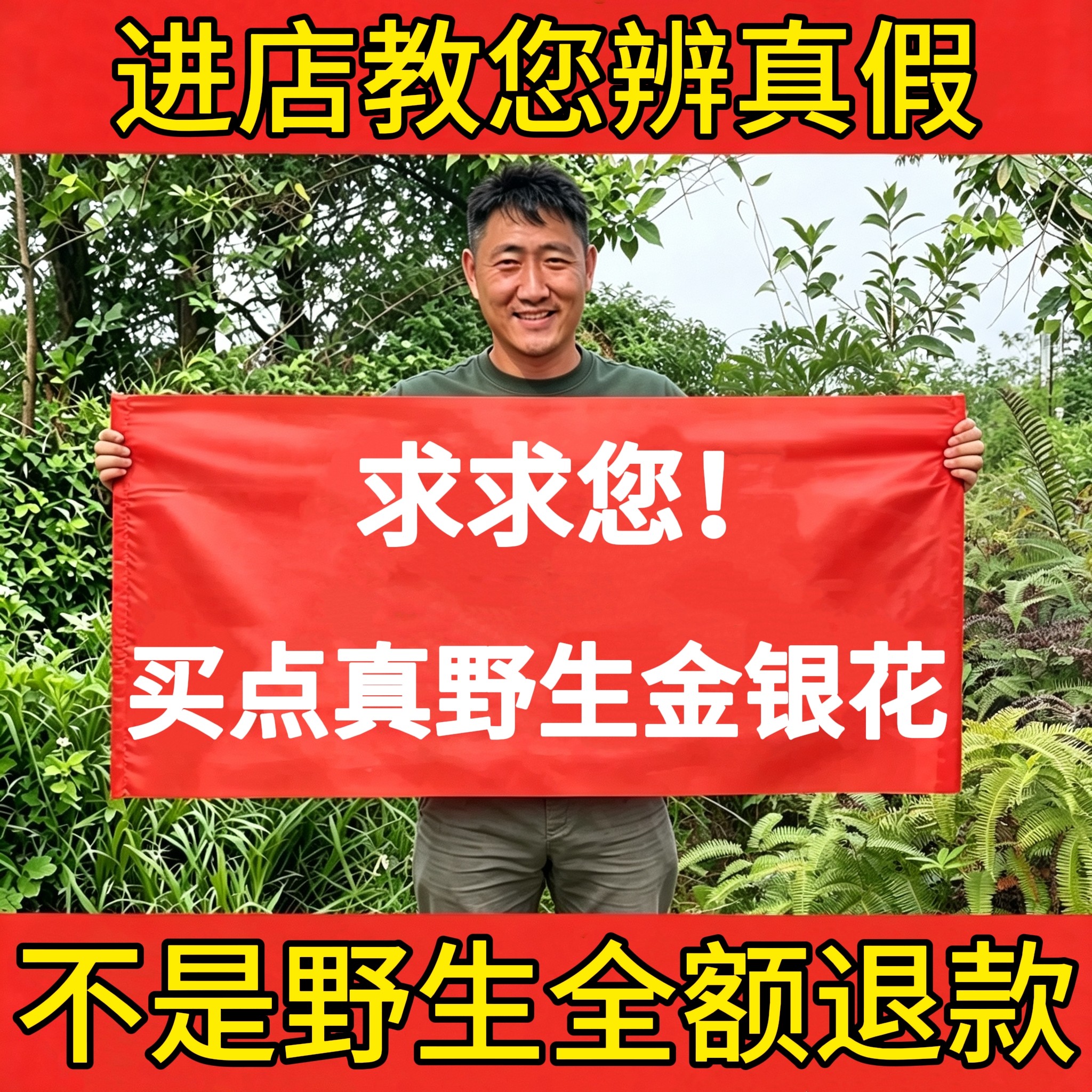 深山纯野生金银花500g中药材天然晒干带绒毛煮茶泡水去火婴儿泡澡