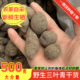 野生三叶青新鲜晒干中药材金线吊葫芦吊金钟石老鼠土经丸清热袪火