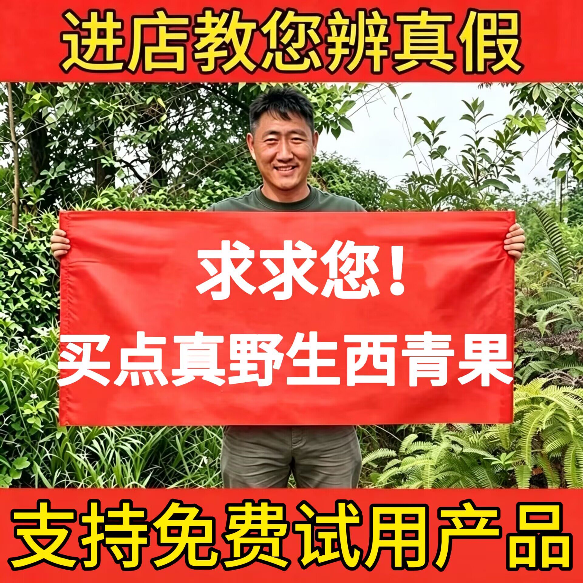 野生西青果中药材西藏特产正宗正青果新鲜干货咽喉泡水泡酒煲汤喝