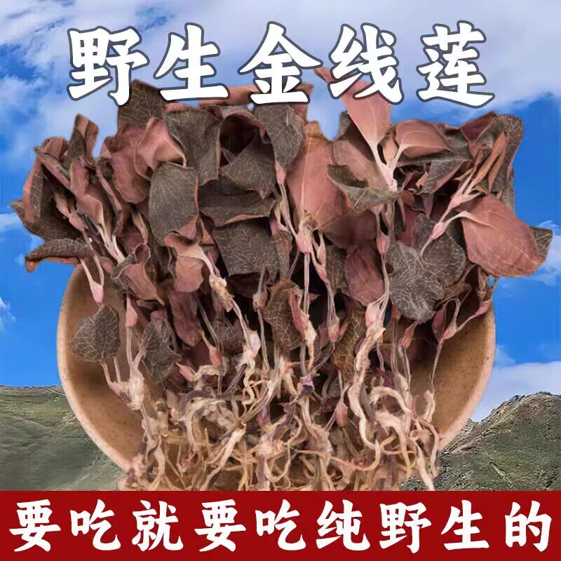 正宗野生金线莲100g干货肝火熬夜养生茶林下特级无硫养生茶泡水喝