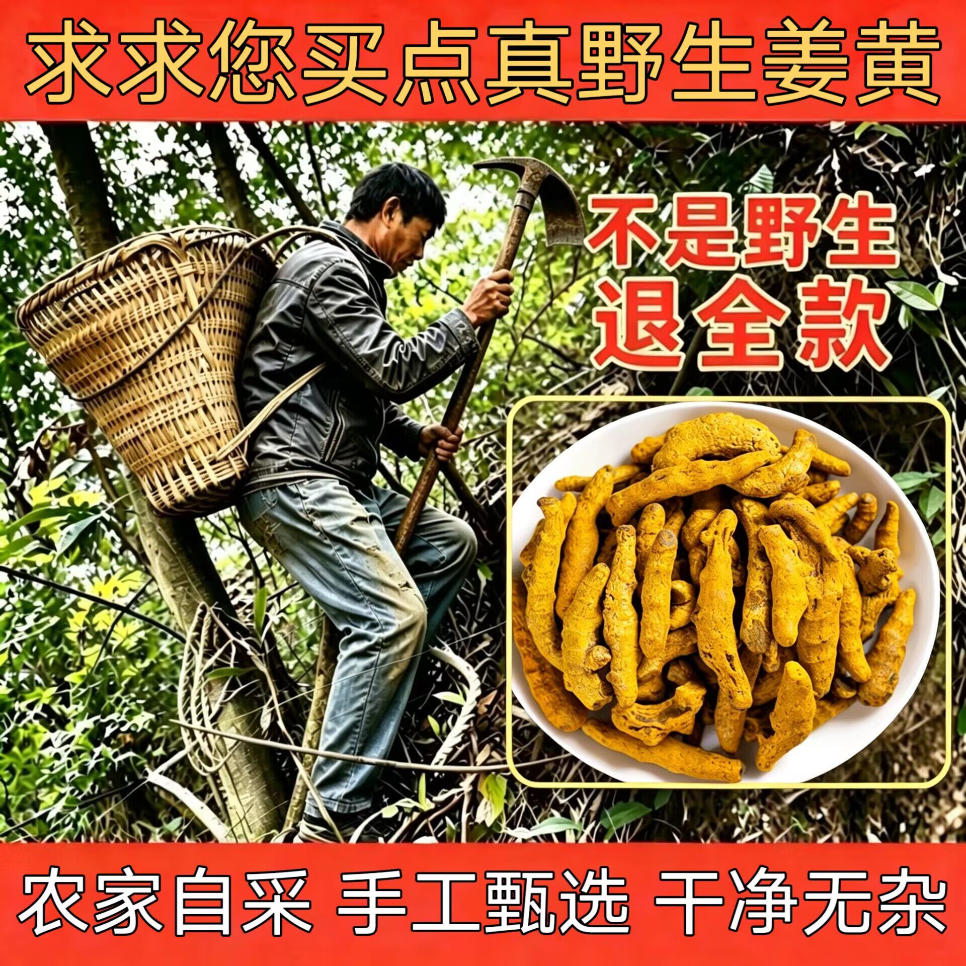 深山纯野生姜黄500g中药材正品优质新鲜姜黄毛姜黄姜天然本色无硫