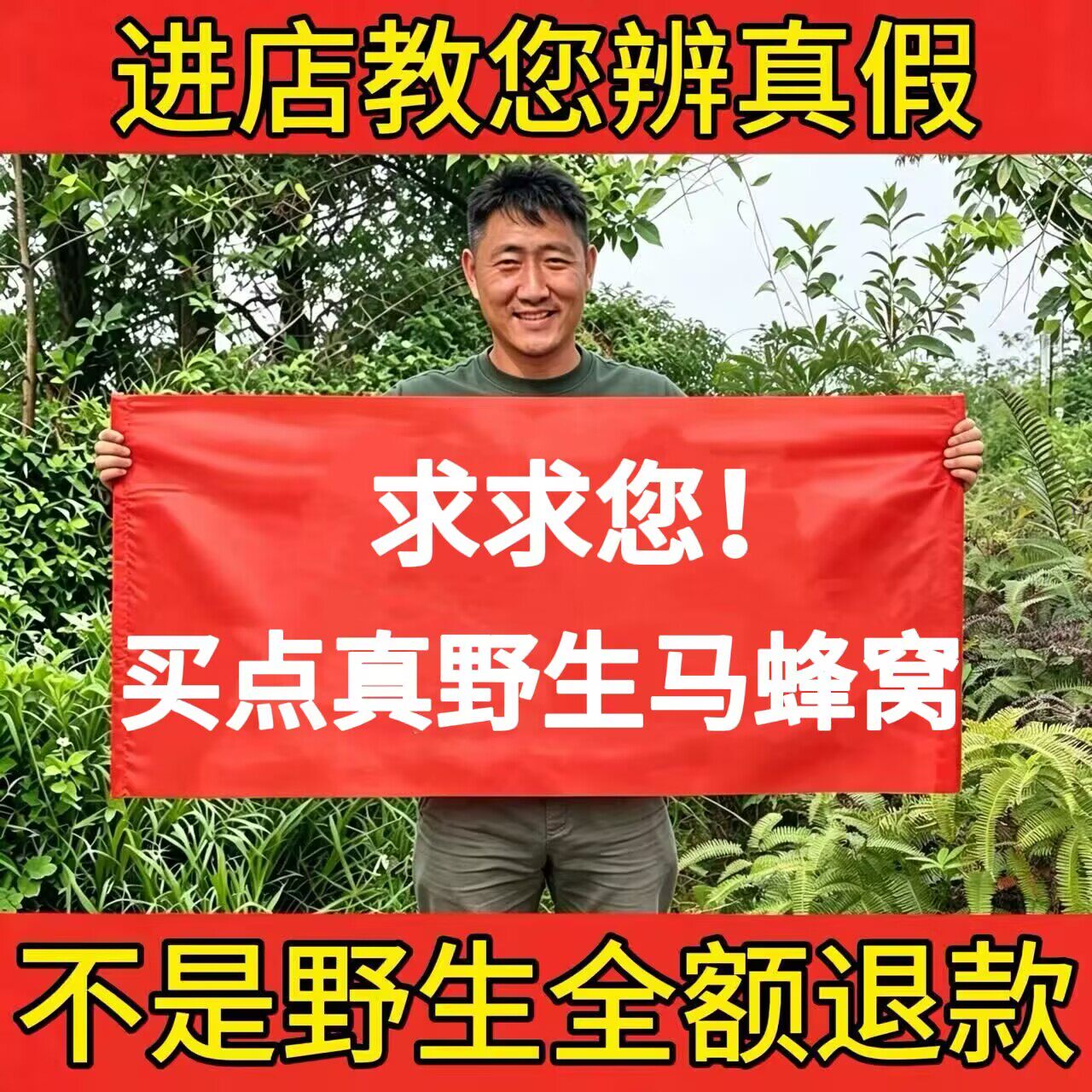 真野生马蜂窝野蜂窝露蜂房500g正品大黄蜂窝胡蜂蜂房蜂巢干净新货