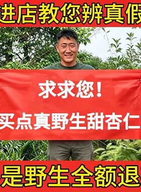 纯野生南杏仁甜杏仁500g正品不苦