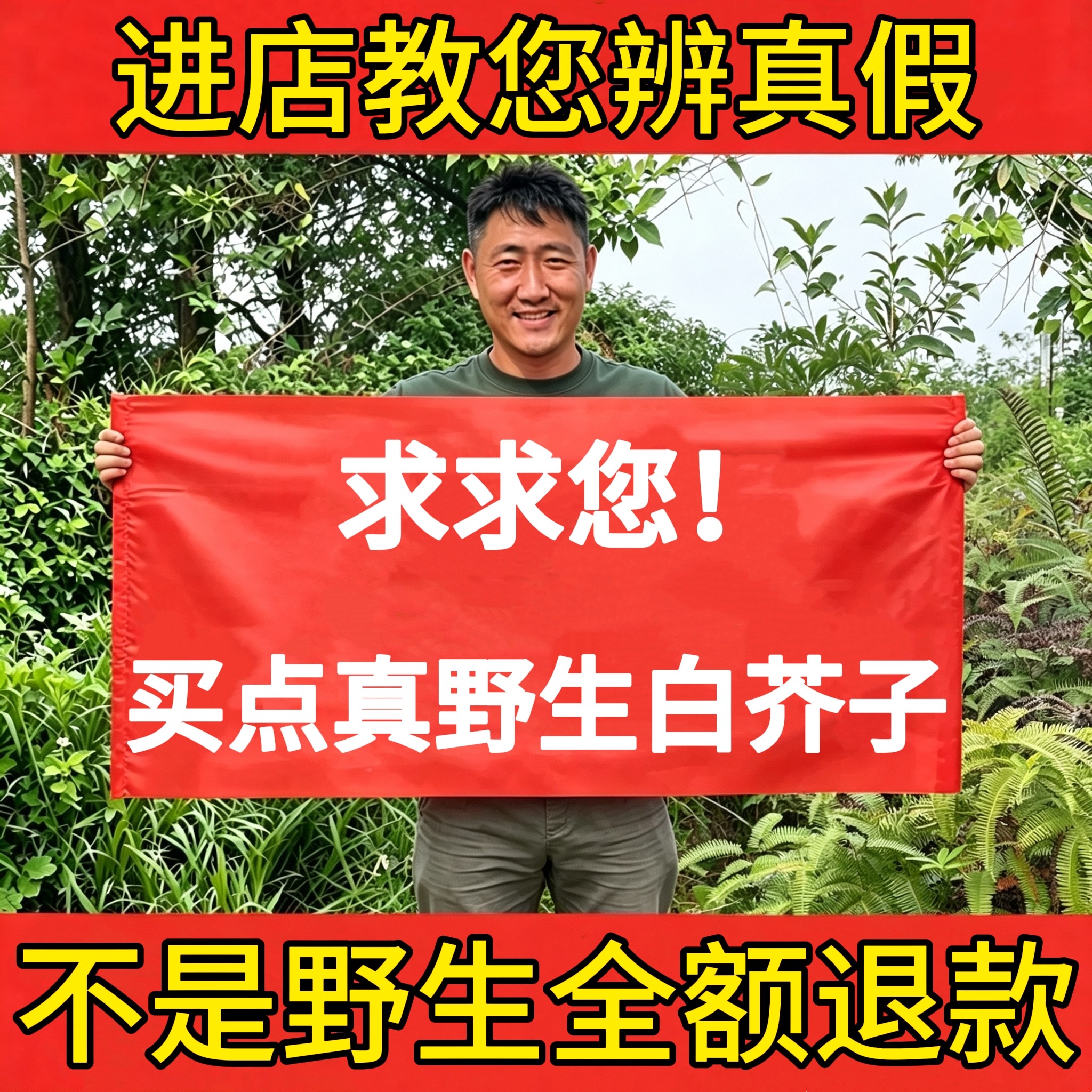 深山纯野生白芥子500g中药材正宗白介子辣菜子芥菜子新货泡茶水喝