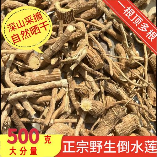 野生黄花倒水莲500g中药材整株观音串月子茶倒吊黄花参煲汤可切片