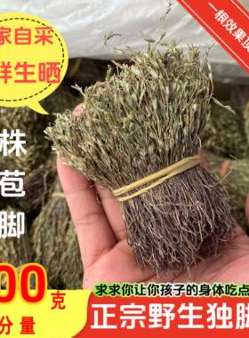 正品野生独脚金疳积草助消食开胃