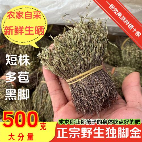 正品野生独脚金疳积草助消食开胃