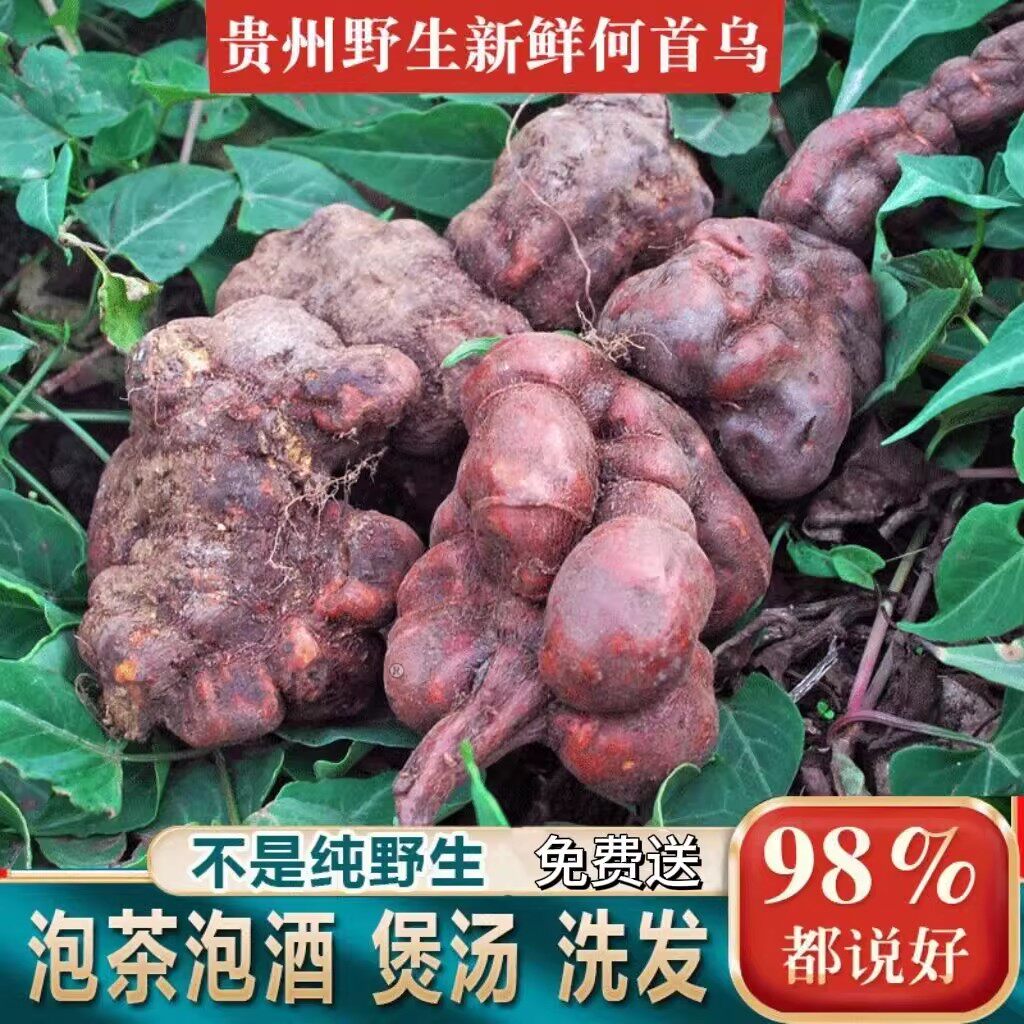贵州野生黑何首乌新鲜生首乌首乌干片可磨粉泡酒洗发护发正品药材