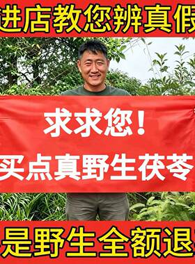 野生茯苓正品老树茯苓茯神养生茶