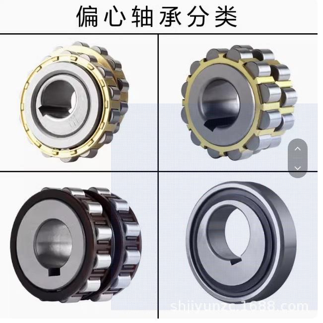 减速机偏心轴承RN204 RN205 RN206 RN07 RN09 RN12 RN219整体