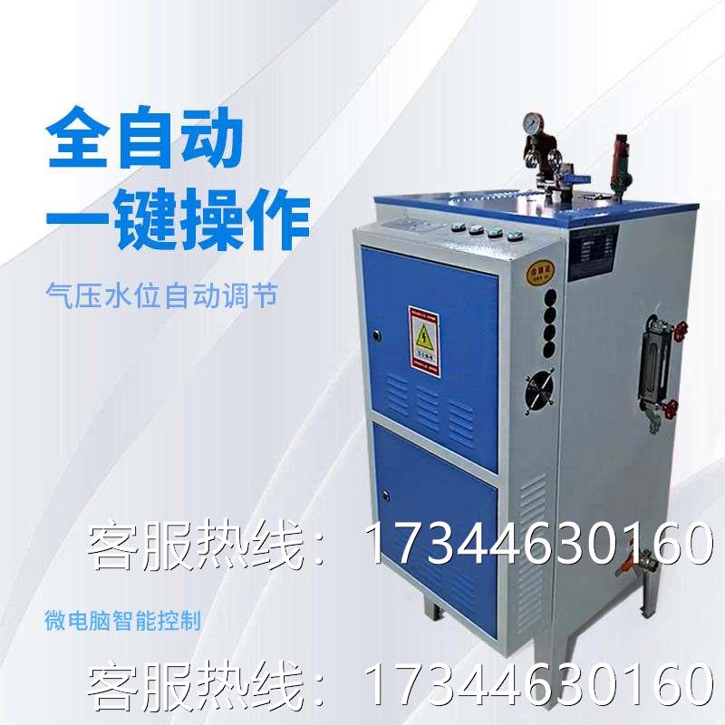 高压 蒸汽除草机 立式煤改电锅炉 蒸汽发生器 加热管体一体式服务