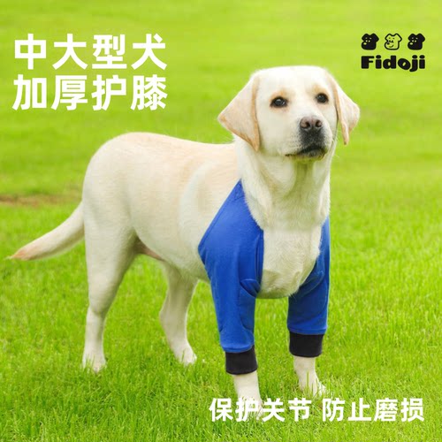 金毛狗狗柴犬护肘关节套