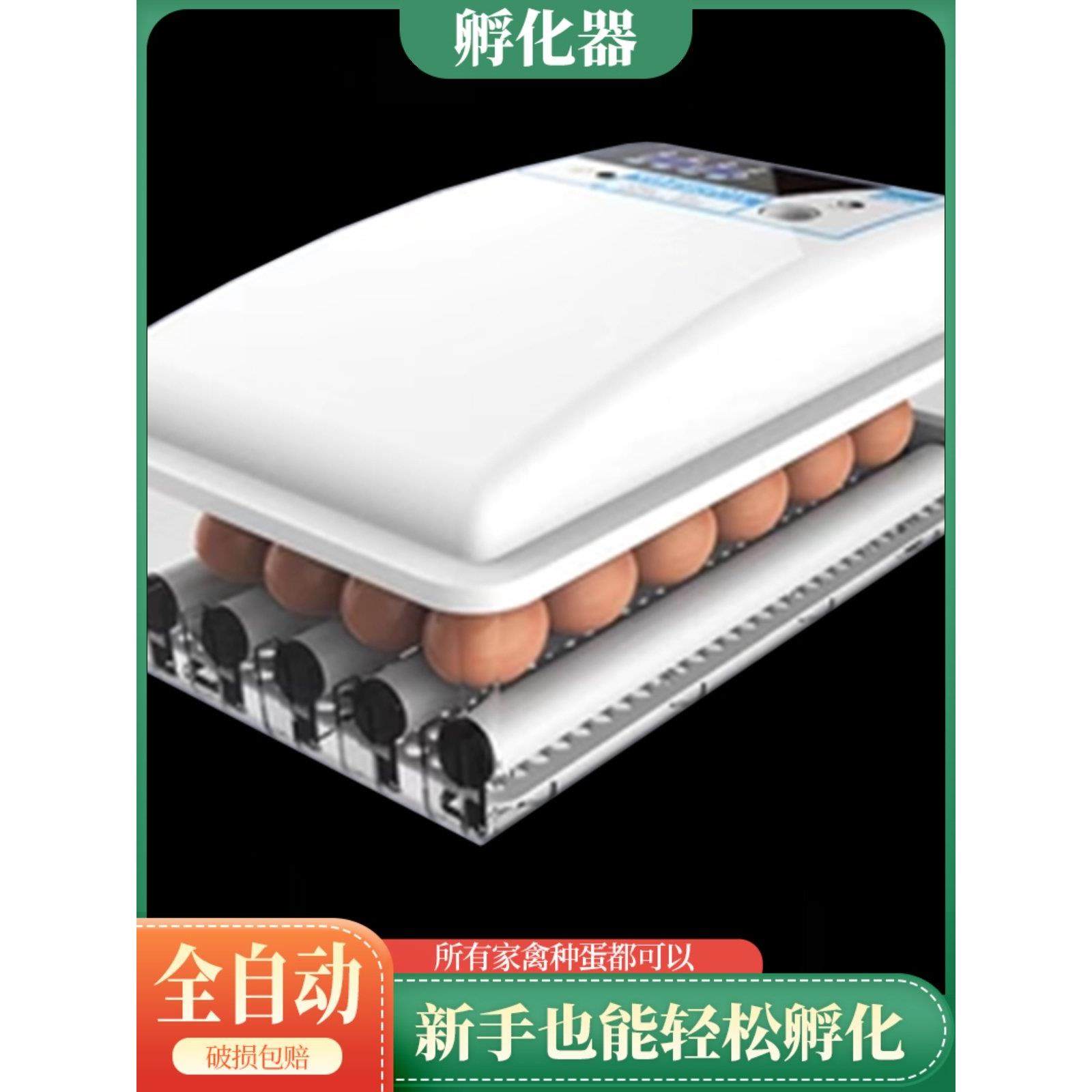 蛋掌门智能小鸡种蛋孵化器孵化箱全自动家用柯尔鸭蛋水床恒温孵化,居家日用,其它,淘宝优惠券,粉丝福利购,淘宝优惠卷