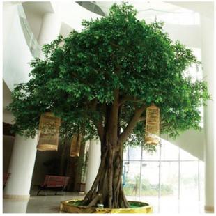 古榕树仿真植物人造玻璃钢仿真树酒店大厅植物室内装 饰仿真榕树