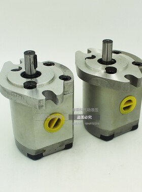 高压齿轮泵P101RP01G P102/127/135/104/5/6/1077RP01 P109RP01G