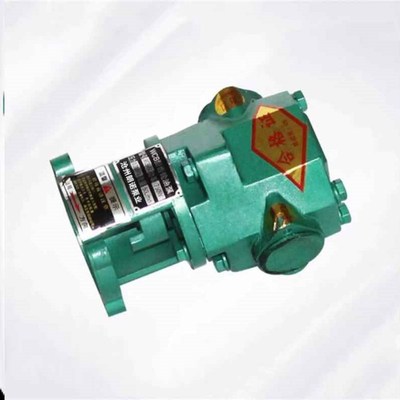 新款WCB齿轮泵头渣油泵煤焦油柴油泵铸铁不锈钢材质双向高温机油