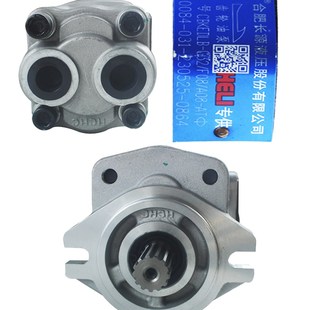 G32 F08 AT三联右旋长源合力G 10T A08 叉车齿轮泵CBKEDLB