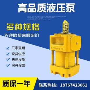 20F 31.5F A工程机械泵QT43 A高压油泵QT43 25F 住友齿轮泵QT43