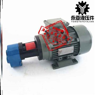 B25 B32JZ齿轮泵电机组机床液压 B20 B2.5 B16 新款 B10